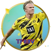 TF88V
