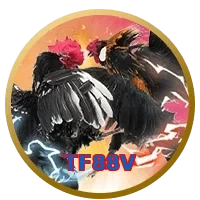 TF88V
